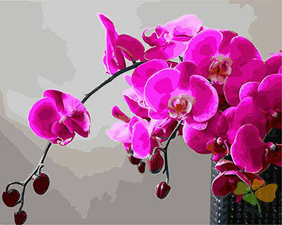 Flower Paint By Numbers Kits UK GX28314