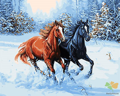 Animal Paint By Numbers Kits UK GX28318