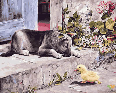 Cat & Dog Paint By Numbers Kits UK GX28324