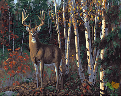 Animal Paint By Numbers Kits UK GX28326