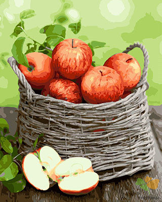 Still Life Paint By Numbers Kits UK GX28368