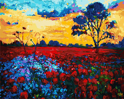 Colorful Paint By Numbers Kits UK GX28382