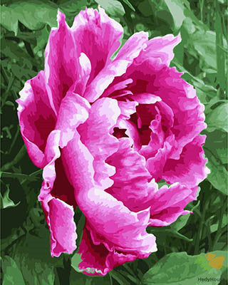 Flower Paint By Numbers Kits UK GX28384