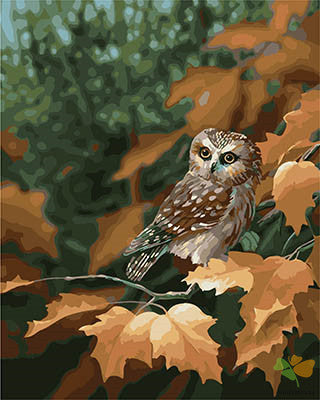 Animal Paint By Numbers Kits UK GX28399