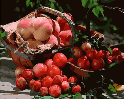 Still Life Paint By Numbers Kits UK GX28400