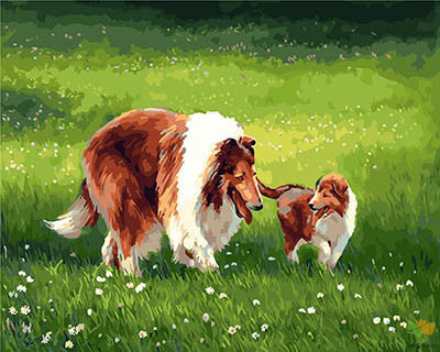 Cat & Dog Paint By Numbers Kits UK GX28401