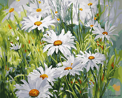 Flower Paint By Numbers Kits UK GX28403