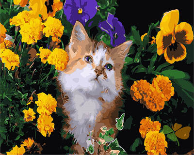 Cat & Dog Paint By Numbers Kits UK GX28404