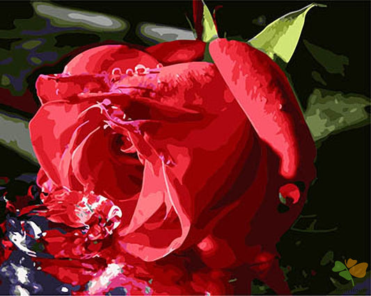 Flower Paint By Numbers Kits UK GX28436