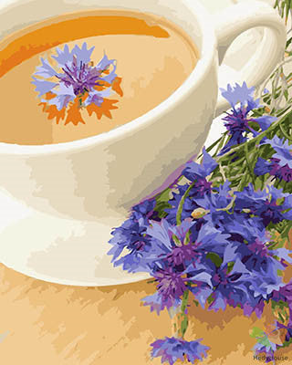 Flower Paint By Numbers Kits UK GX28442