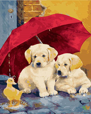 Dog & Cat Paint By Numbers Kits UK