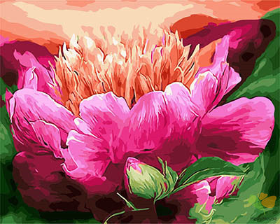 Flower Paint By Numbers Kits UK GX28465