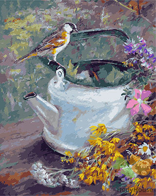 Birds Paint By Numbers Kits UK GX28486