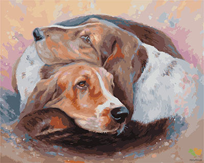 Cat & Dog Paint By Numbers Kits UK GX28491