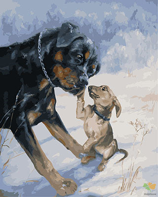 Cat & Dog Paint By Numbers Kits UK GX28494