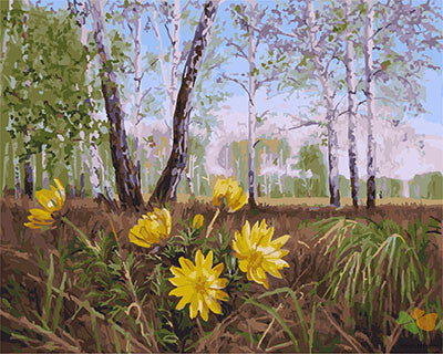 Flower Paint By Numbers Kits UK GX28508