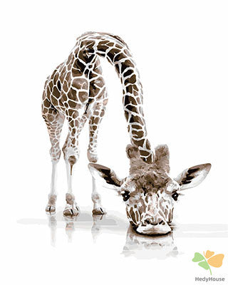 Animal Paint By Numbers Kits UK GX28543