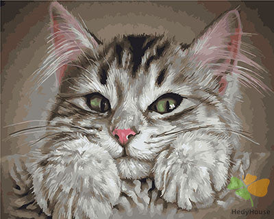 Cat & Dog Paint By Numbers Kits UK GX28558