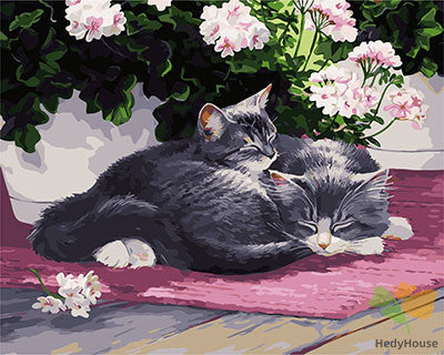 Cat & Dog Paint By Numbers Kits UK GX28561