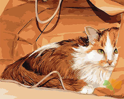 Cat & Dog Paint By Numbers Kits UK GX28563