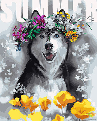 Cat & Dog Paint By Numbers Kits UK GX28564