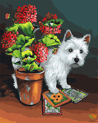 Cat & Dog Paint By Numbers Kits UK GX28566