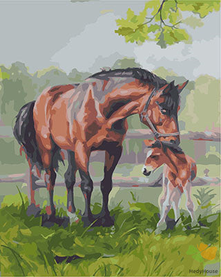 Animal Paint By Numbers Kits UK GX28582