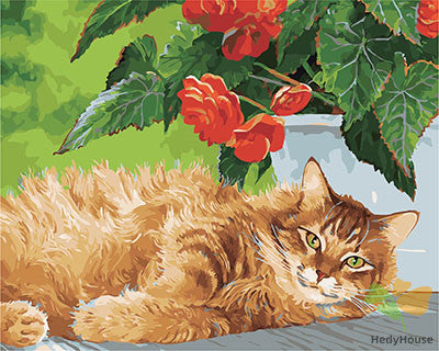 Cat & Dog Paint By Numbers Kits UK GX28590