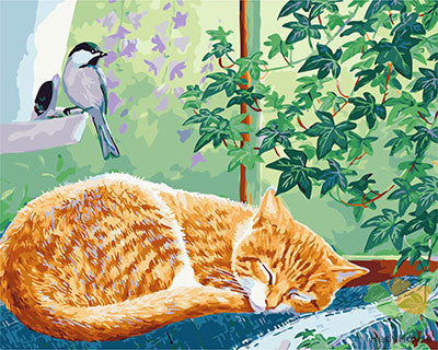 Cat & Dog Paint By Numbers Kits UK GX28610