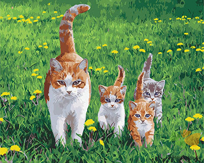 Cat & Dog Paint By Numbers Kits UK GX28621