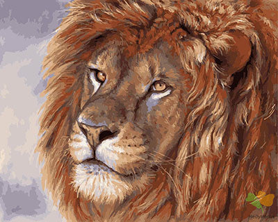 Animal Paint By Numbers Kits UK GX28652