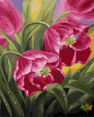 Flower Paint By Numbers Kits UK GX28656