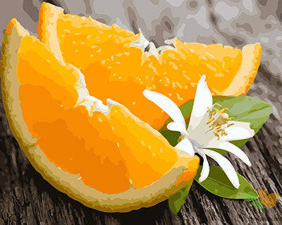 Still Life Paint By Numbers Kits UK GX28662