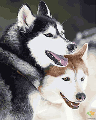 Cat & Dog Paint By Numbers Kits UK GX28714