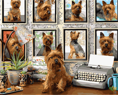 Cat & Dog Paint By Numbers Kits UK GX28741