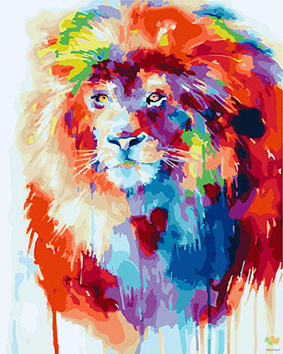 Colorful Paint By Numbers Kits UK GX28765