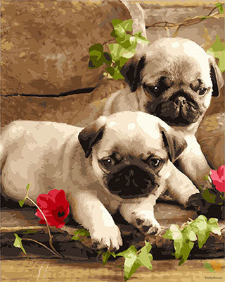 Cat & Dog Paint By Numbers Kits UK GX28767