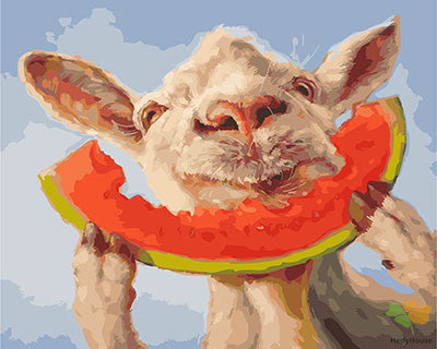 Animal Paint By Numbers Kits UK GX28768