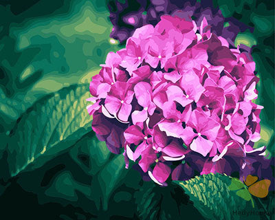 Flower Paint By Numbers Kits UK GX28771