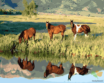 Animal Paint By Numbers Kits UK GX28795