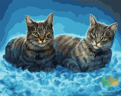 Cat & Dog Paint By Numbers Kits UK GX28805