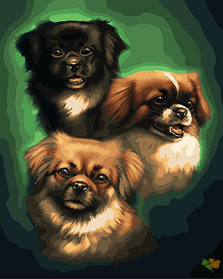 Cat & Dog Paint By Numbers Kits UK GX28807