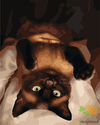 Cat & Dog Paint By Numbers Kits UK GX28828