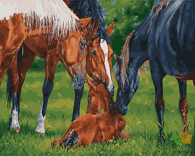 Animal Paint By Numbers Kits UK GX28831