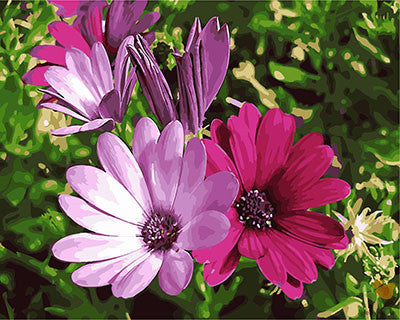 Flower Paint By Numbers Kits UK GX28882