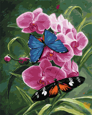 Flower Paint By Numbers Kits UK GX28888