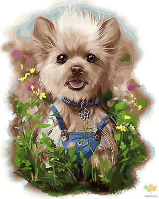 Cat & Dog Paint By Numbers Kits UK GX28898