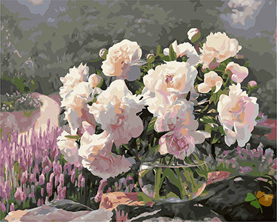 Flower Paint By Numbers Kits UK GX28906