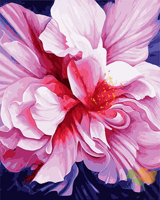 Flower Paint By Numbers Kits UK GX28954