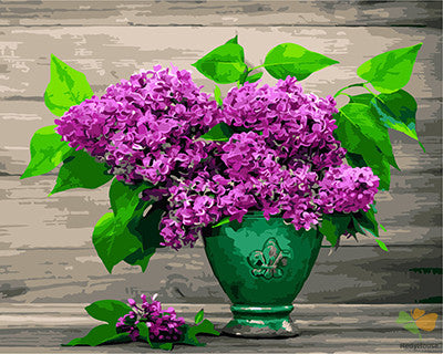 Flower Paint By Numbers Kits UK GX28970